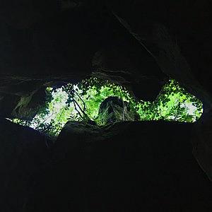 Лик в гроте