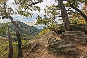 Смотровая площадка