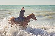 Конная прогулка к морю 8