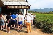 Экскурсия "Знакомьтесь - Сочи": Экоферма + Морпорт + Теплоход + Дача Сталина + Дача Хлудова + Бювет 3
